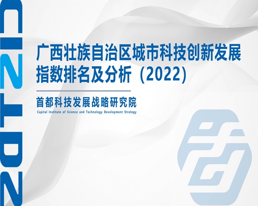 大鸡吧叉屁眼在线观看【成果发布】广西壮族自治区城市科技创新发展指数排名及分析（2022）